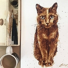 Kot malowany kawą? :o