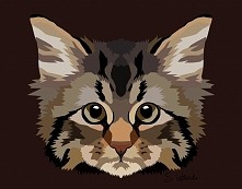 Kot 2
Znajdziecie mnie na f...