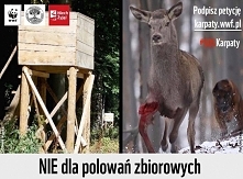 APEL do wszystkich wrażliwych osób! Proszę o podpisy na stronie, wystarczy poświęcić chwilkę czasu, to nic nie kosztuję!