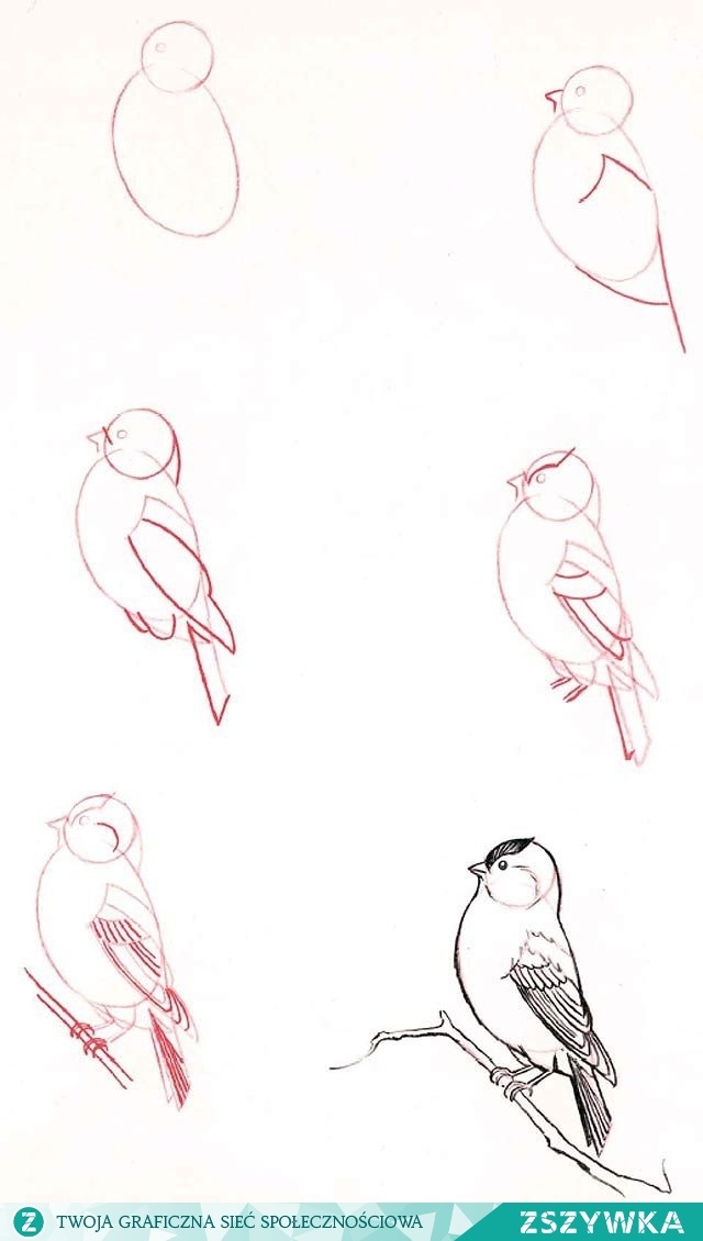 ....