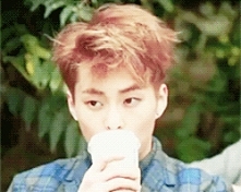 XiuMin, EXO