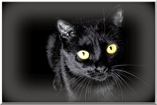 Sprawdź co oznacza Twoja data urodzenia! Urodzeni 14 sierpnia.