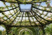 Cudownie! Aż zapiera dech w...