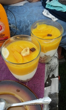 zdrowe przekąski, efektowne i pyszne!
jogurt naturalny, płatki owsiane, brzoskwinie z puszki ;)