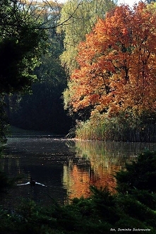 Park Poniatowskiego.
fot. ...