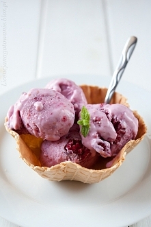 lody malinowe