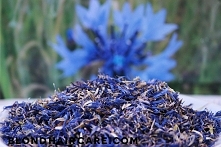 płukanka z bławatka niweluj...