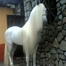 andaluz ze snów :) <3