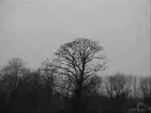 Eels - I need some sleep :)