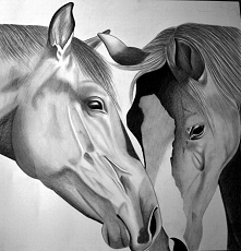 Szkic koni mojego autorstwa