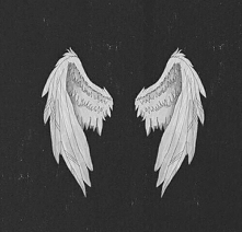 wings.