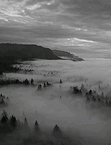 Postanowił żyć wiecznie, al...