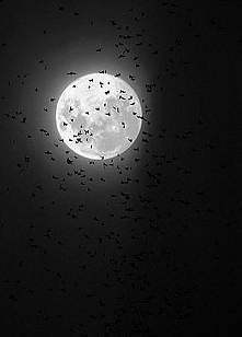 O wiele łatwiej wyleczyć zr...