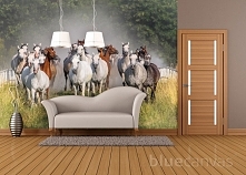 Stado koni w salonie