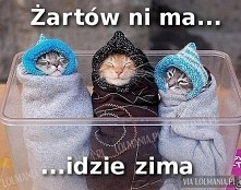 nie ma żartów