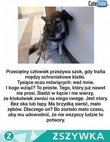 Tysiące oczu mówiących : we...
