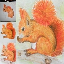 Zostań moją wiewióreczką:) mój art