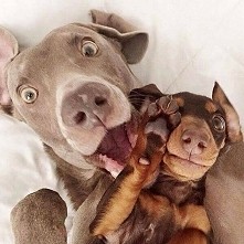 lol :-) hejka wszystkim :-)