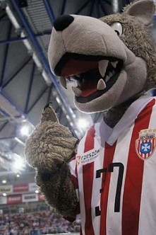 Asseco Resovia Rzeszów❤