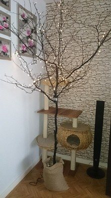 świecące drzewko, lampki, d...