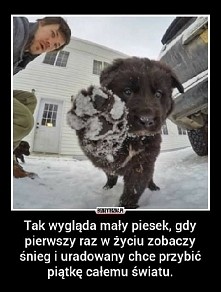 Piątka mały ! *-*