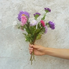 mojapasjazycie.wordpress.com