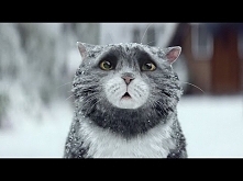 Sainsbury’s OFFICIAL Christmas Advert 2015 – Mog’s Christmas Calamity