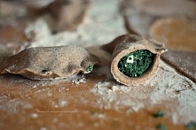 Pełnoziarniste pierogi ze szpinakiem