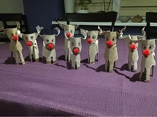 zastępy rudolfów ...