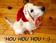 Spajk w wersji Mikołajowej ;)