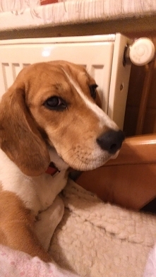 Przy grzejniku zawsze ciepl...