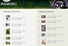 Zrób dobry uczynek. Wybierz zwierzaka i dokarmiaj go jednym kliknięciem raz dziennie - całkowicie za darmo :-*

olx. pl/nakarm-psa/rankings/
[bez spacji]