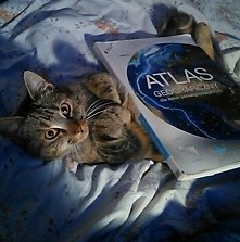 Człowiek,  chcesz coś ode m...