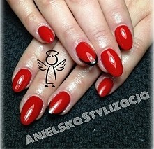 czerwień zawsze jest na czasie