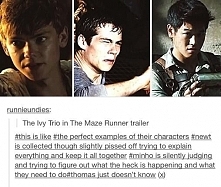 Thomas just doesn't know xdd :D