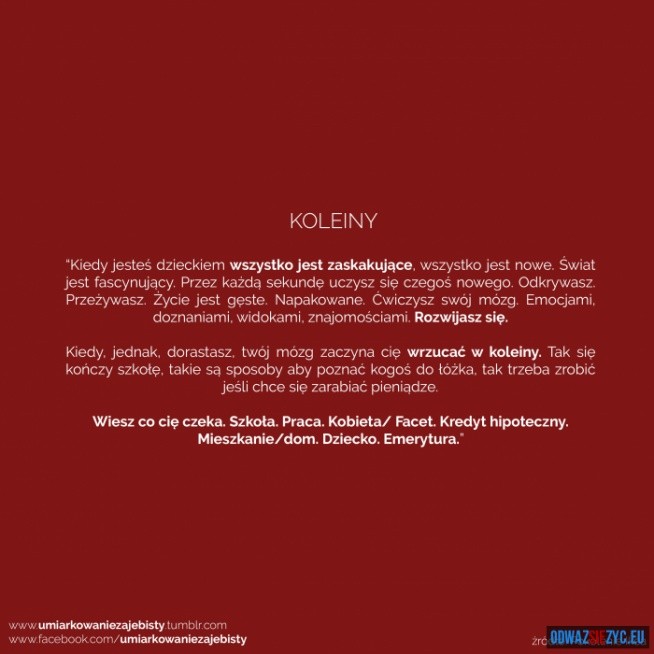 KOLEINY