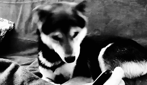 *-**