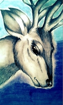 Pierwszy raz rysuję zwierzę...