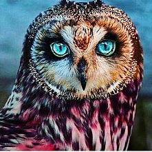 It's so beautiful *.*