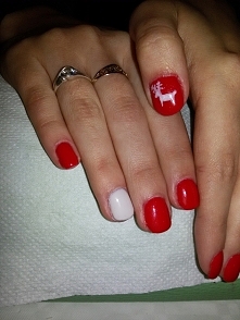 Reniferki ♥
Nie ma ideałów i dobrze mi z tym :)