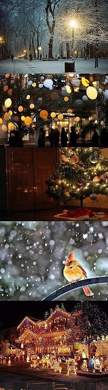 coraz bliżej święta!