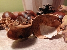 więcej zdjęć po kliknięciu.