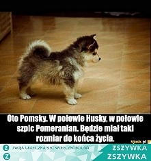Boski! <3
