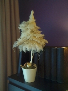 Choinka kokosowa, zapraszam na bloga