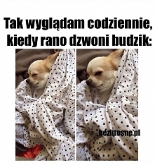 CODZIENNIE
