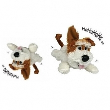 Sympatyczny Azorek dla Twoj...