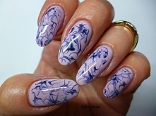 Mozaika na pazurkach