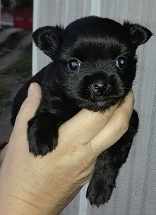 moja Bajka :-) maleństwo :-)