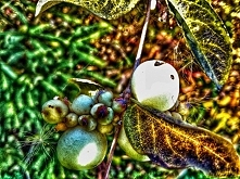 foto trochę inaczej