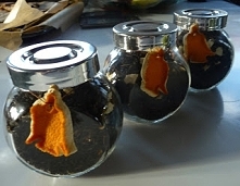 Prezent diy - zimowa herbata